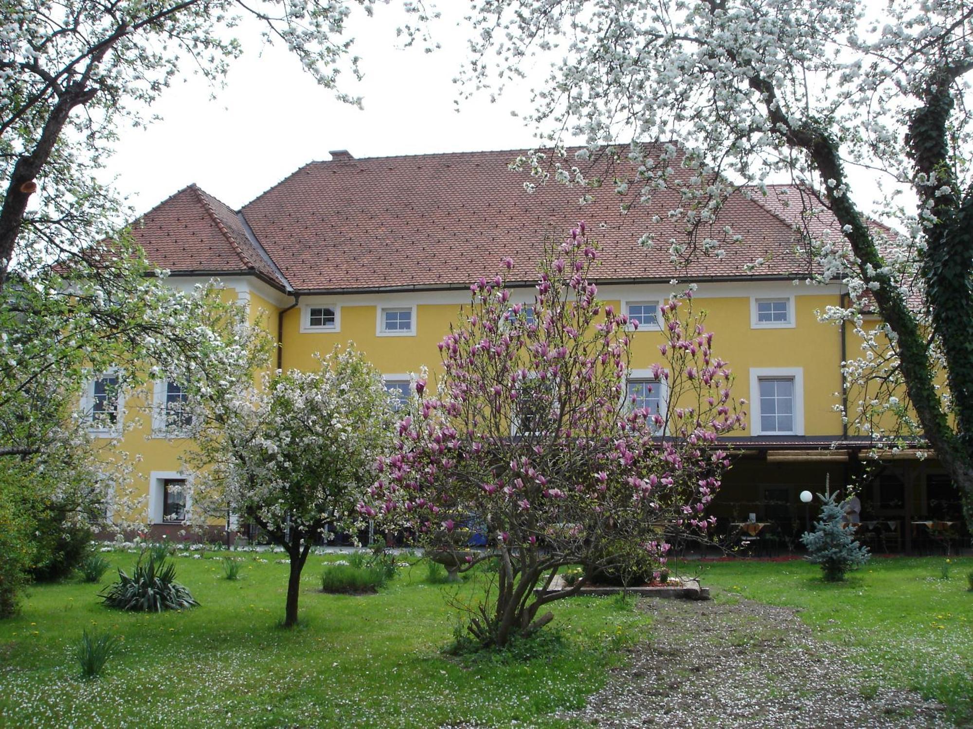 Guest House Cater Laško Buitenkant foto